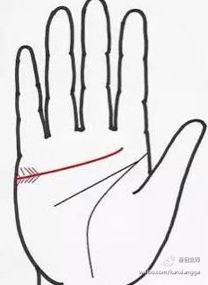 5丶感情线的起端如羽毛箭尾