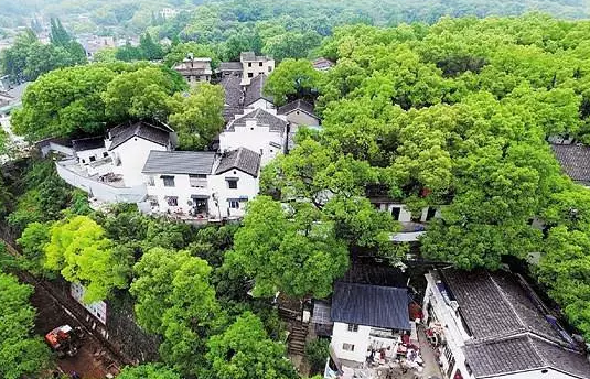 杭州 工作室搬到馒头山 《芈月传》作者蒋胜男新作在即 实际上,为了