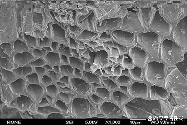 图1-3活性炭的孔道结构 通过高分辨透射电子显微镜研究表明,活性炭中