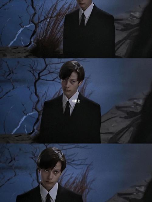 少年伏地魔汤姆里德尔爱德华弗朗欧美男星