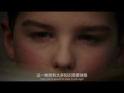 besmirch v. 诋毁,败坏……的名声