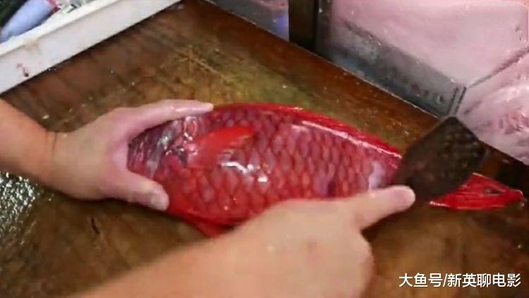 男子钓上一条血红色的鱼, 回家刨开之后, 不淡定啦
