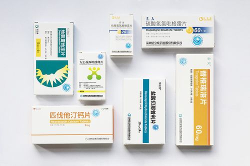 公司动态