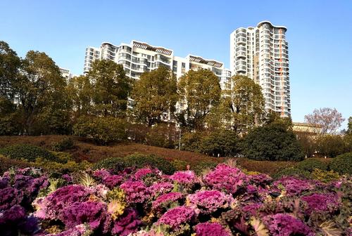 合肥匡河公园