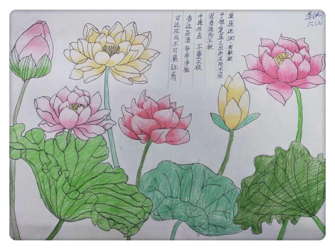 腹有诗书气自华——乌市第八十三中学六年级"诗配画"大赛