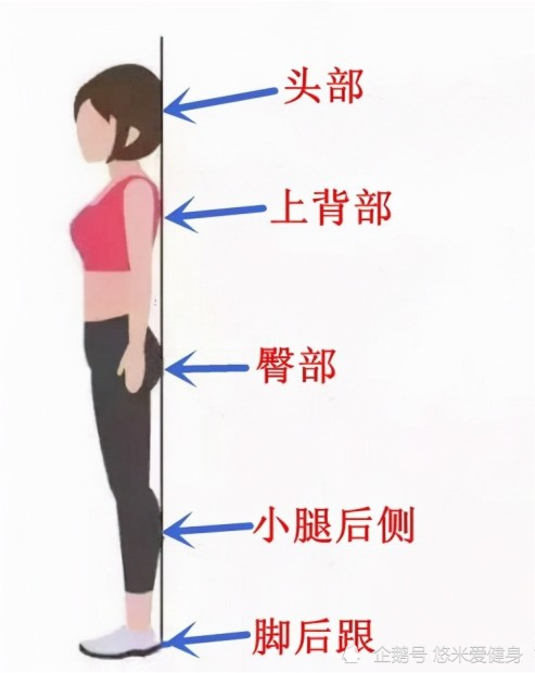 每天晚上靠墙站立,可以帮助减肥吗?