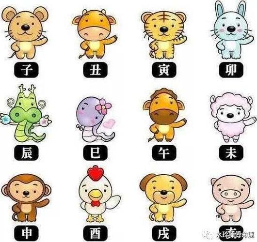 十二生肖最关键运势布局:三合,六合局