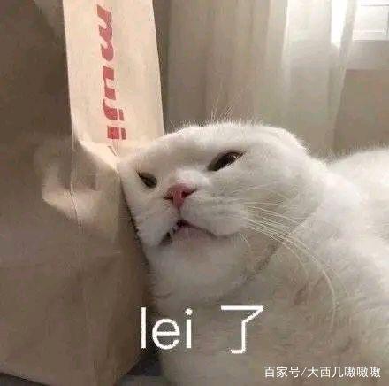 稚嫩如我,表情包:小小的眼睛里有着大大的疑惑