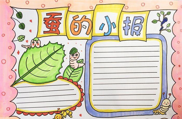蚕的小报怎么画_学科手抄报_手抄报大全
