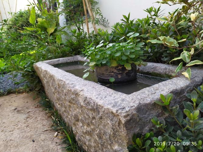 旁边放上石槽,石槽内或种碗莲,或种铜钱草