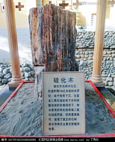 rgb 普通授权 ￥88 关 键 词:   奇石 石化木 硅化木 硅化石 新疆石