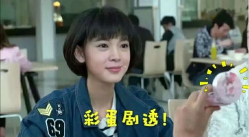 《致青春》原著作者辛夷坞最赞赏陈瑶演绎的郑微,她表示"陈瑶非常有