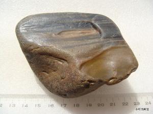 黑龙江木化石 近无裂 有玉化 水冲硅化木天然树化石原石 370克