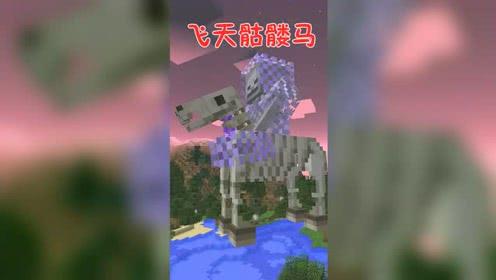 我的世界:骷髅马还可以飞天?就是这个箭法十分迷!