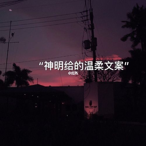 "神明给的温柔文案"_惊艳到你的句子_素材_文字素材
