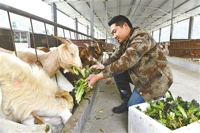 目前,全乡已成立专业合作社30多家,特色养殖成了村民致富的新门路.