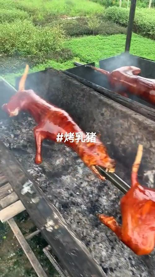 烤乳猪