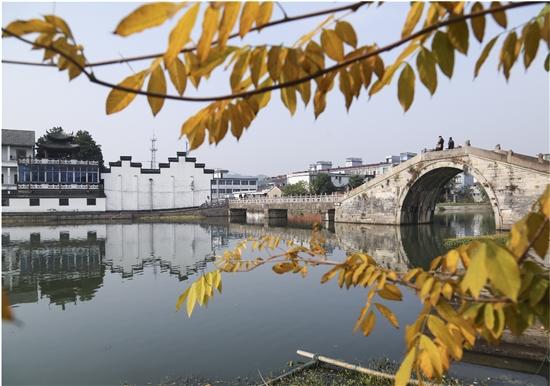 水乡泽国,酒香悠悠.