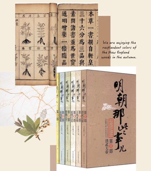 听书《明朝那些事儿》