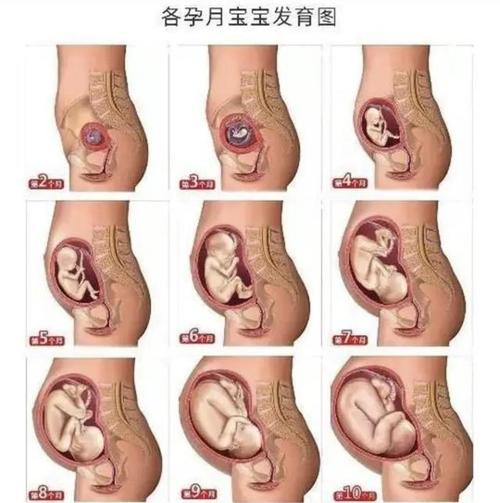 36岁女人怀孕第4胎6个月只做一次超声摔倒后听到检查结果哭了