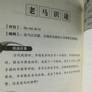 老马识途