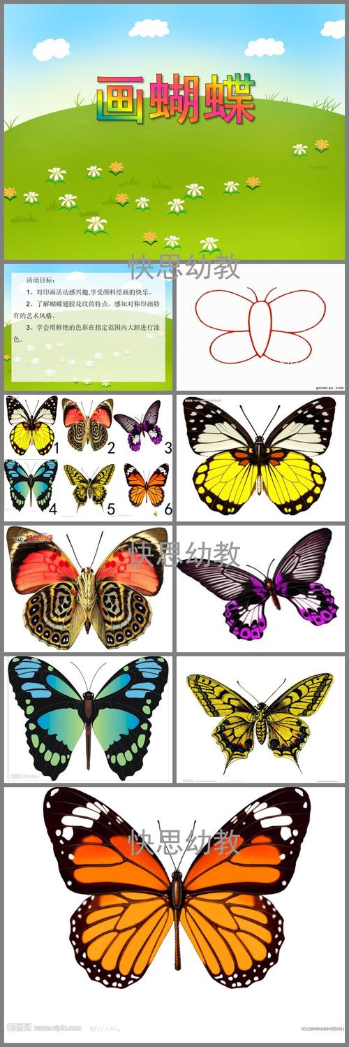 中班美术活动画蝴蝶ppt课件
