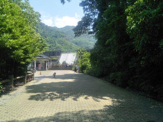 开化下淤村农家乐南尖岩老毛农家乐衢州七里乡高山小院农家乐缙云农家