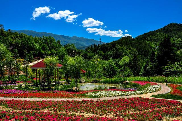 重庆景点:城口县九重花岭