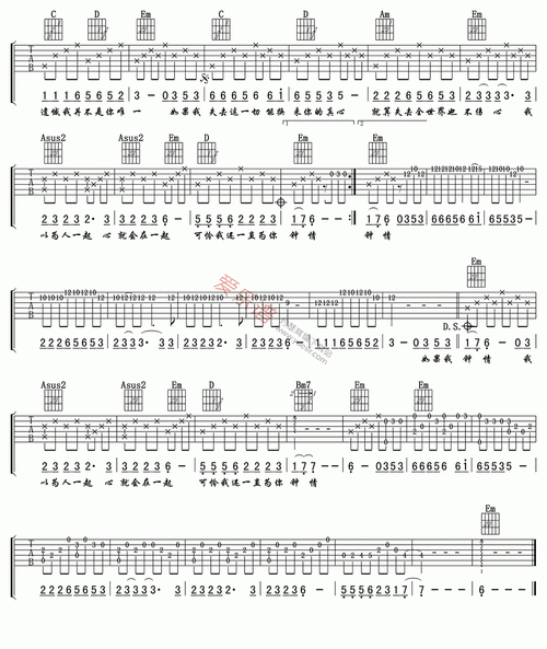 欢子《得到你的人却得不到你的心》 吉他谱