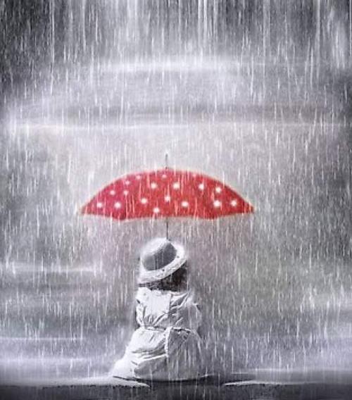 性格测试哪个淋雨的人最可怜测出你的直觉有多准
