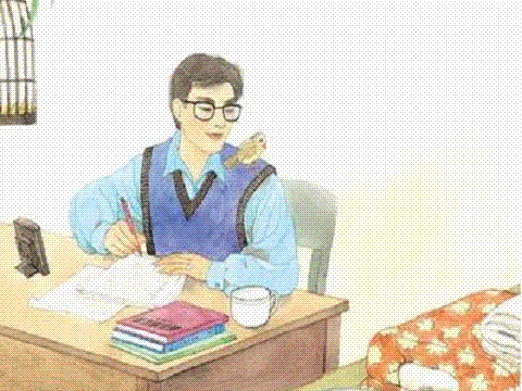 《珍珠鸟》课件设计