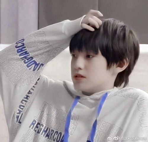 张泽禹