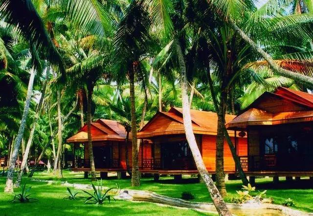 海南文昌东郊椰林-最经典的海南风光