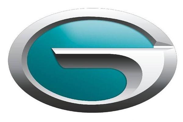 广汽新能源投票