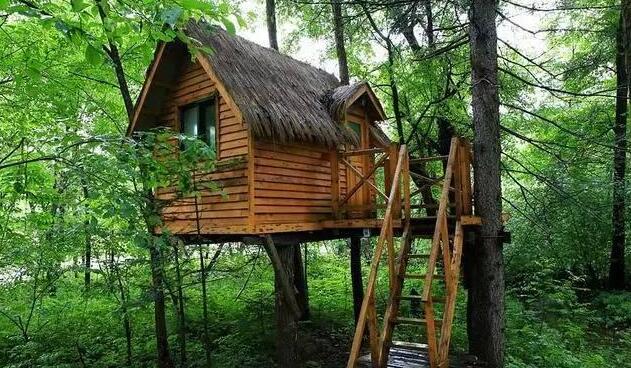 春原始森林小木屋