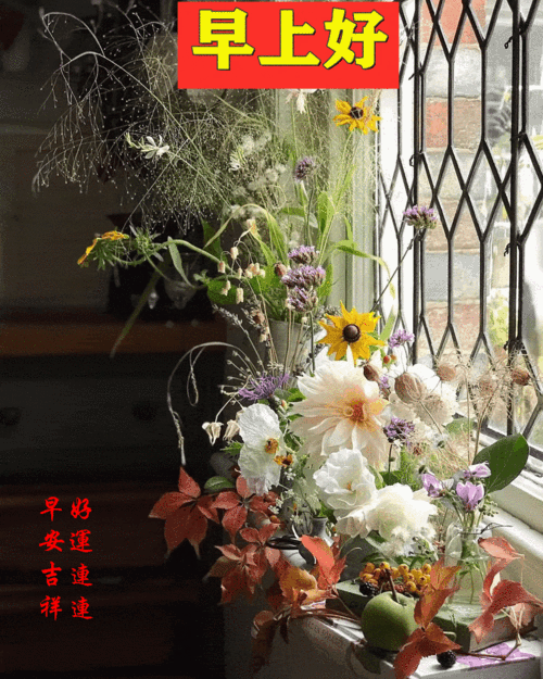 2021111星期一《早安心语》