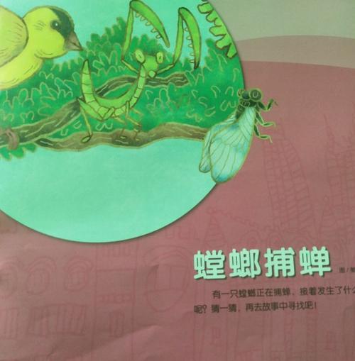 阅读故事:螳螂捕蝉