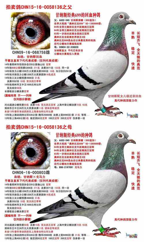 >> 查看拍卖商品