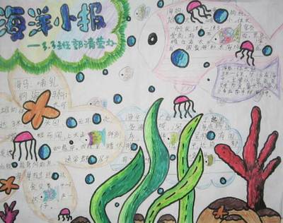 如何画义乌海洋世界手抄报如何画手抄报