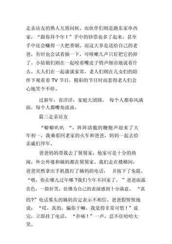 走亲访友日记doc6页