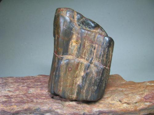 水冲硅化木(红色,黄色,黑色,白色)已经售出