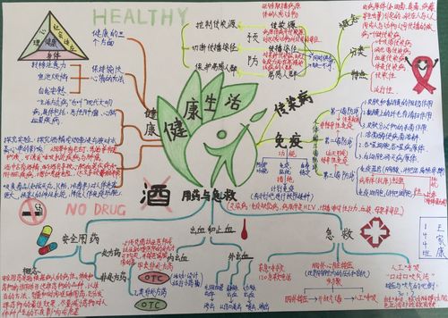 连福一中生物思维导图优秀作品展