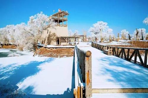 巴楚红海景区:游"森林氧吧", 闻森林馨香,吸高氧空气