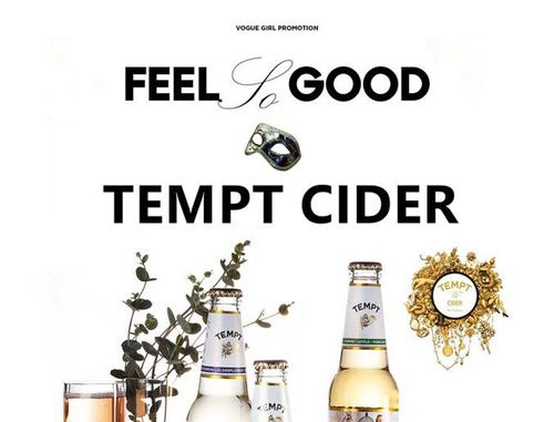 丹麦原装进口啤酒 tempt诱惑7号接骨