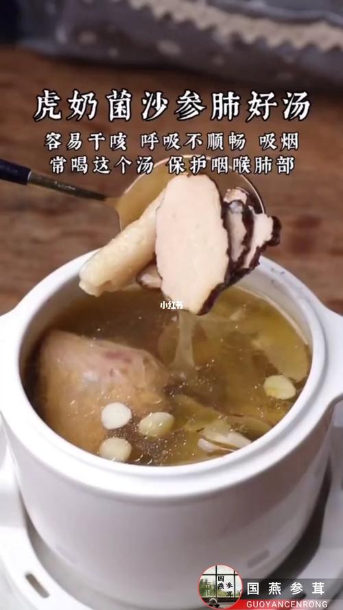 虎乳止咳润肺汤包 材料:虎乳菌 陈皮丝 川贝 南杏 北杏 雪梨干 蜜枣
