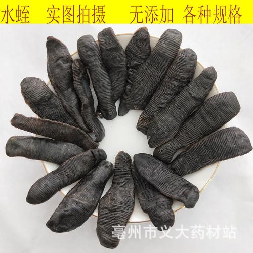 批发中药材水蛭 蚂蟥清水吊杆水蛭 无增重规格齐全 量大从优