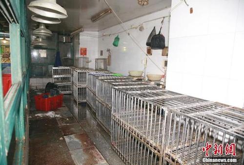 杭州永久关闭主城区活禽交易 萧山余杭继续休市