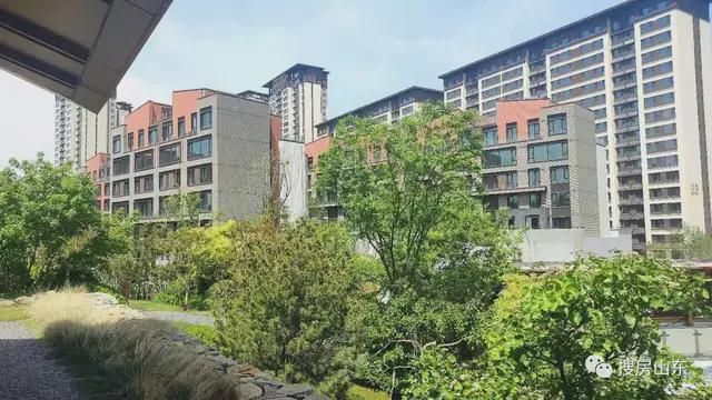 楼盘测评|唐冶片区改善盘—万科翡翠山语