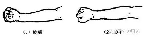 前臂旋转活动:初始时先做旋前运动(掌心朝下),范围0°-20°,每天3-5次