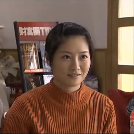 《媳妇的美好时代》潘美丽的姐姐潘凤凰 电视剧《媳妇的美好时代》潘